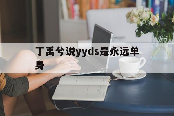 丁禹兮说yyds是永远单身的简单介绍