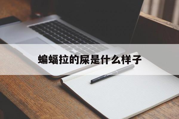 蝙蝠拉的屎是什么样子的简单介绍