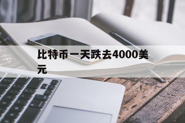 比特币一天跌去4000美元的简单介绍