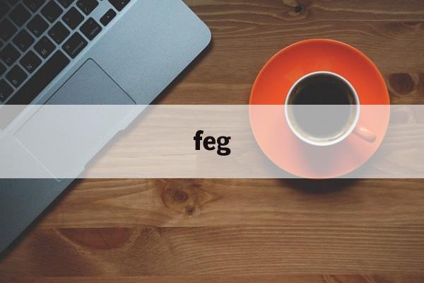 feg:(feg是什么意思)