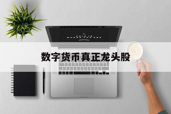 数字货币真正龙头股:(普通人怎样投资数字经济)