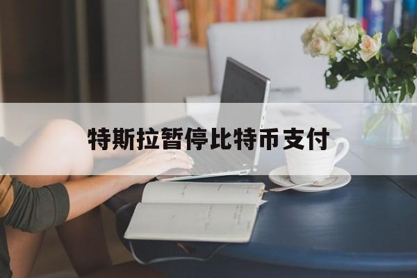 特斯拉暂停比特币支付:(特斯拉币一个多少人民币)