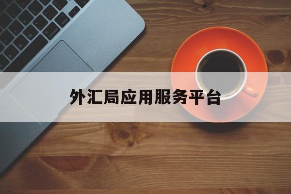 外汇局应用服务平台:(国家外汇管理局官方网站)