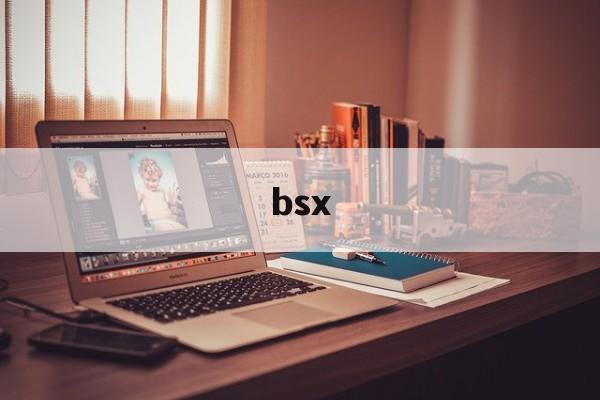bsx:(BSX是什么牌子)