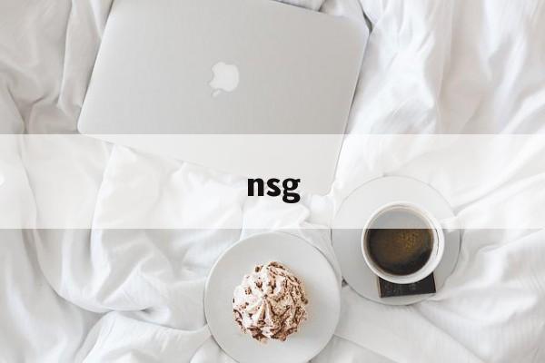 nsg:(nsg集团简介)