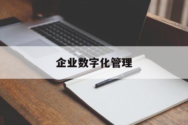 企业数字化管理:(实体门店数字化转型)