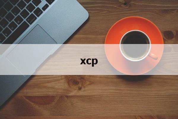 xcp:(ccp协议及xcp协议区别)