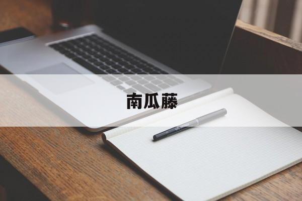 南瓜藤:(南瓜藤可以吃吗)
