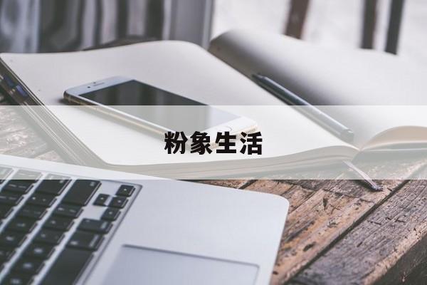 粉象生活:(粉象生活有风险吗)